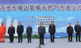 广西河池新闻爆料事件视频,视频揭露惊人真相