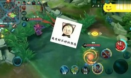 大牛王者爆料视频大全,视频大全背后的精彩瞬间